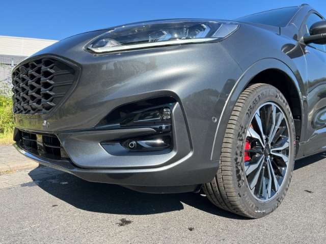 Fahrzeugbild eines Ford Kuga