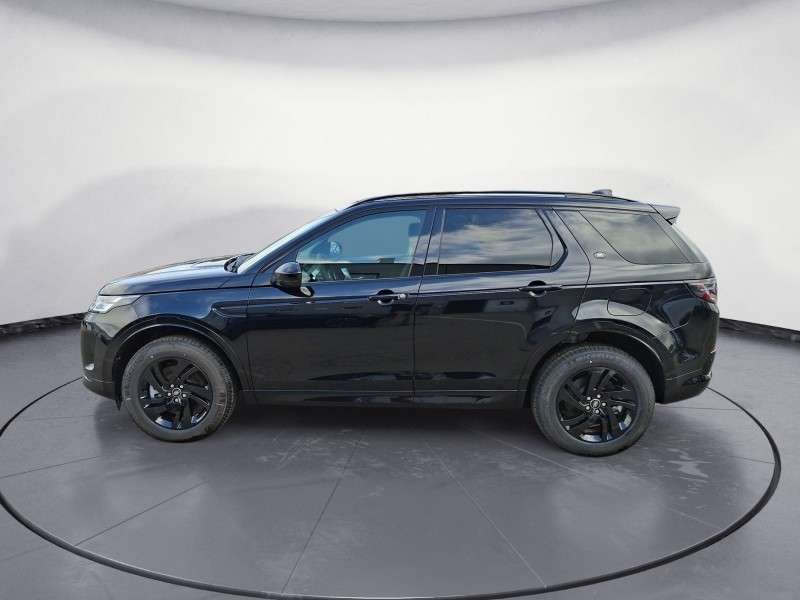 Fahrzeugbild eines Land Rover Discovery