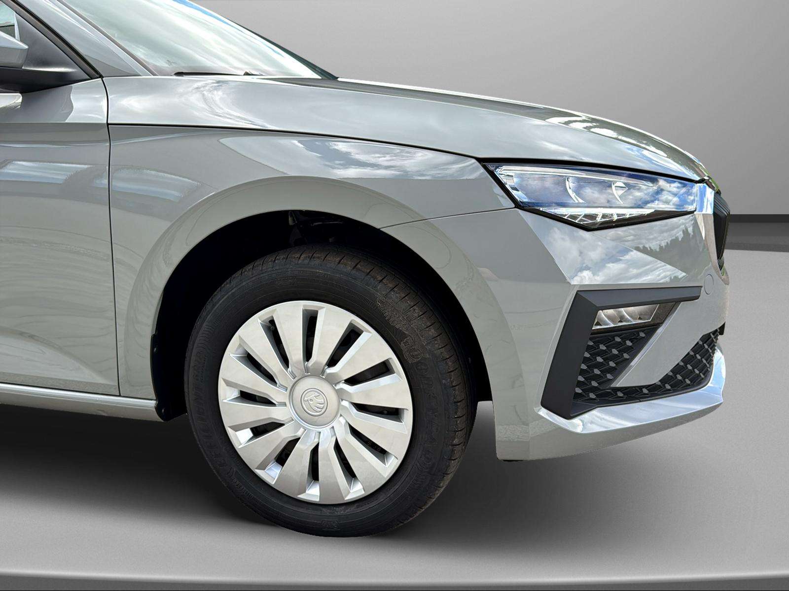 Fahrzeugbild eines Skoda Scala