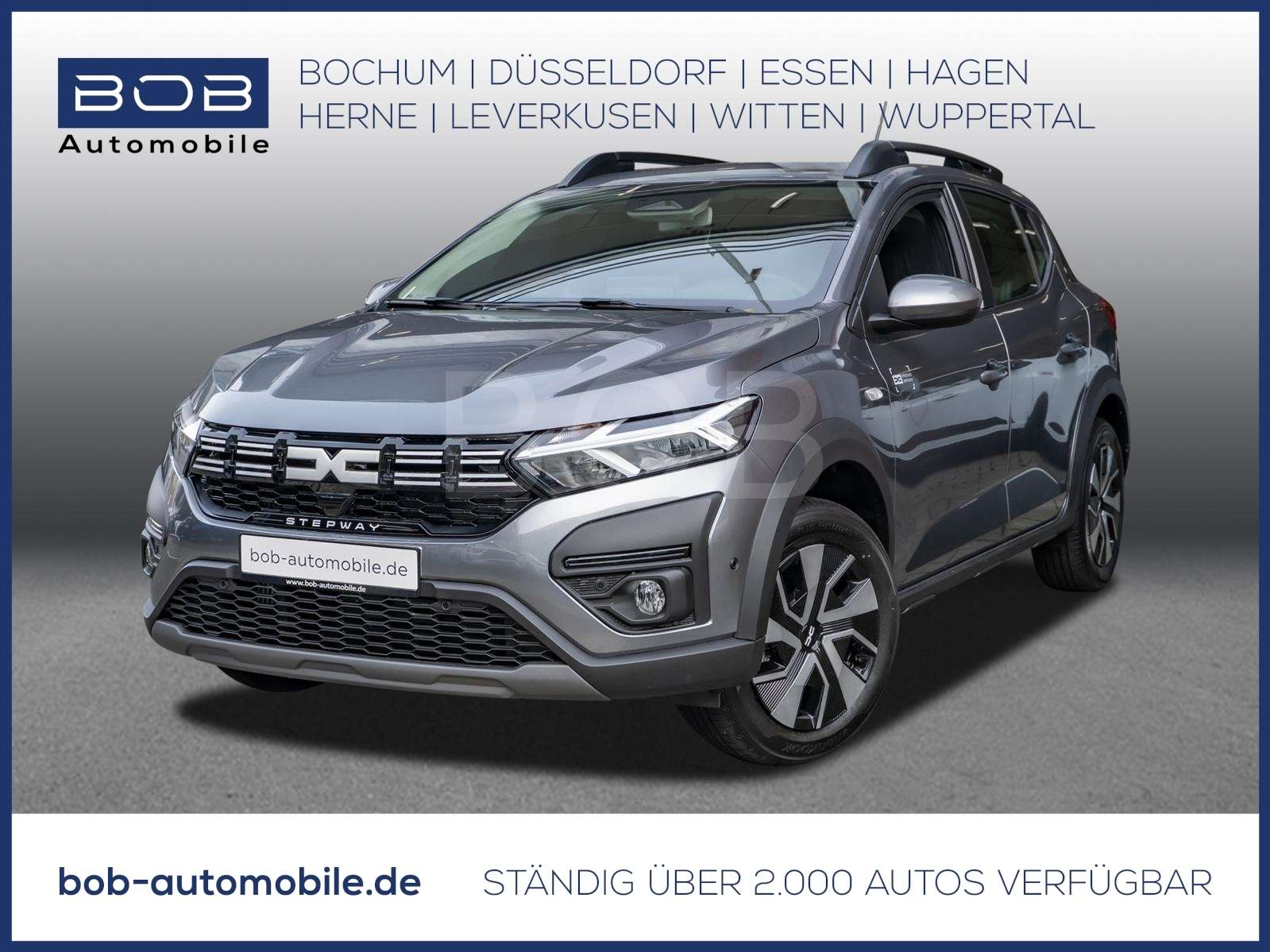 Fahrzeugbild eines Dacia Sandero
