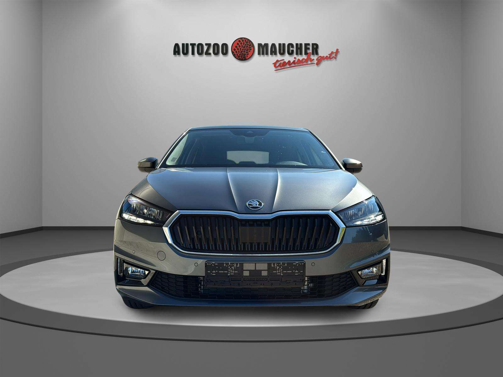 Fahrzeugbild eines Skoda Fabia