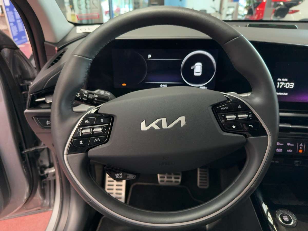 Fahrzeugbild eines Kia Niro