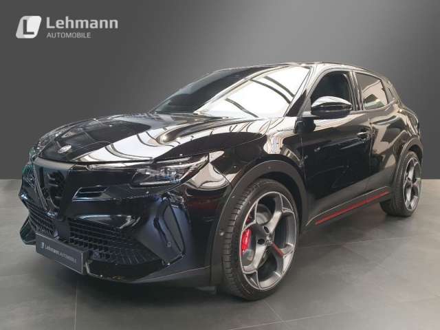 Fahrzeugbild eines Alfa Romeo Junior