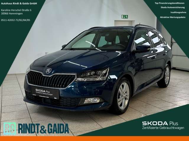 Fahrzeugbild eines Skoda Fabia