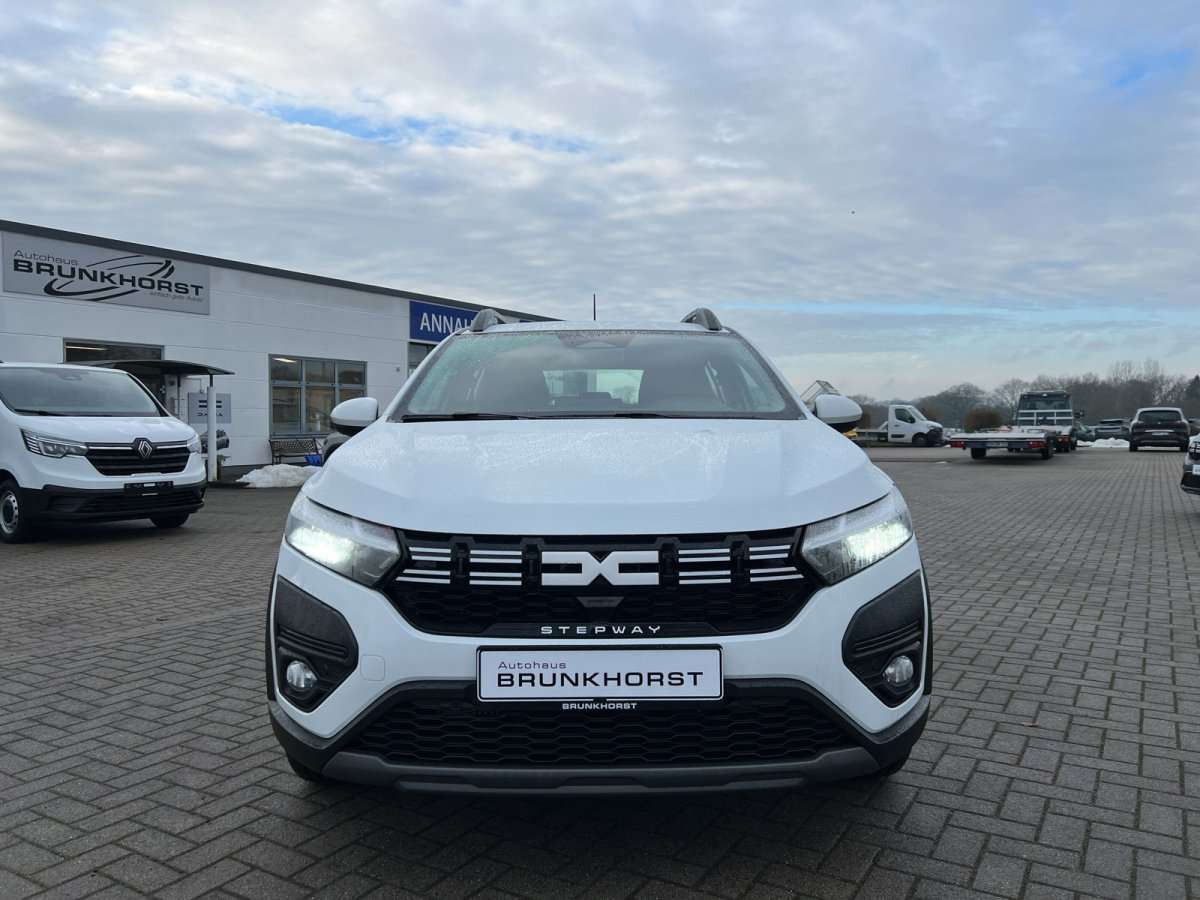 Fahrzeugbild eines Dacia Sandero