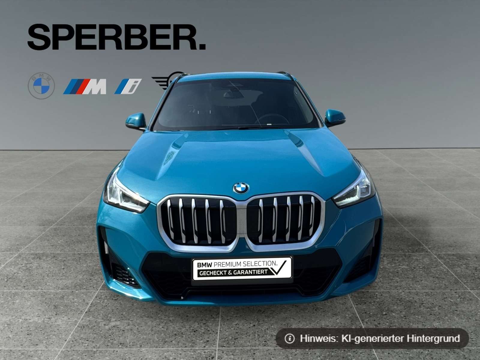 Fahrzeugbild eines BMW X1
