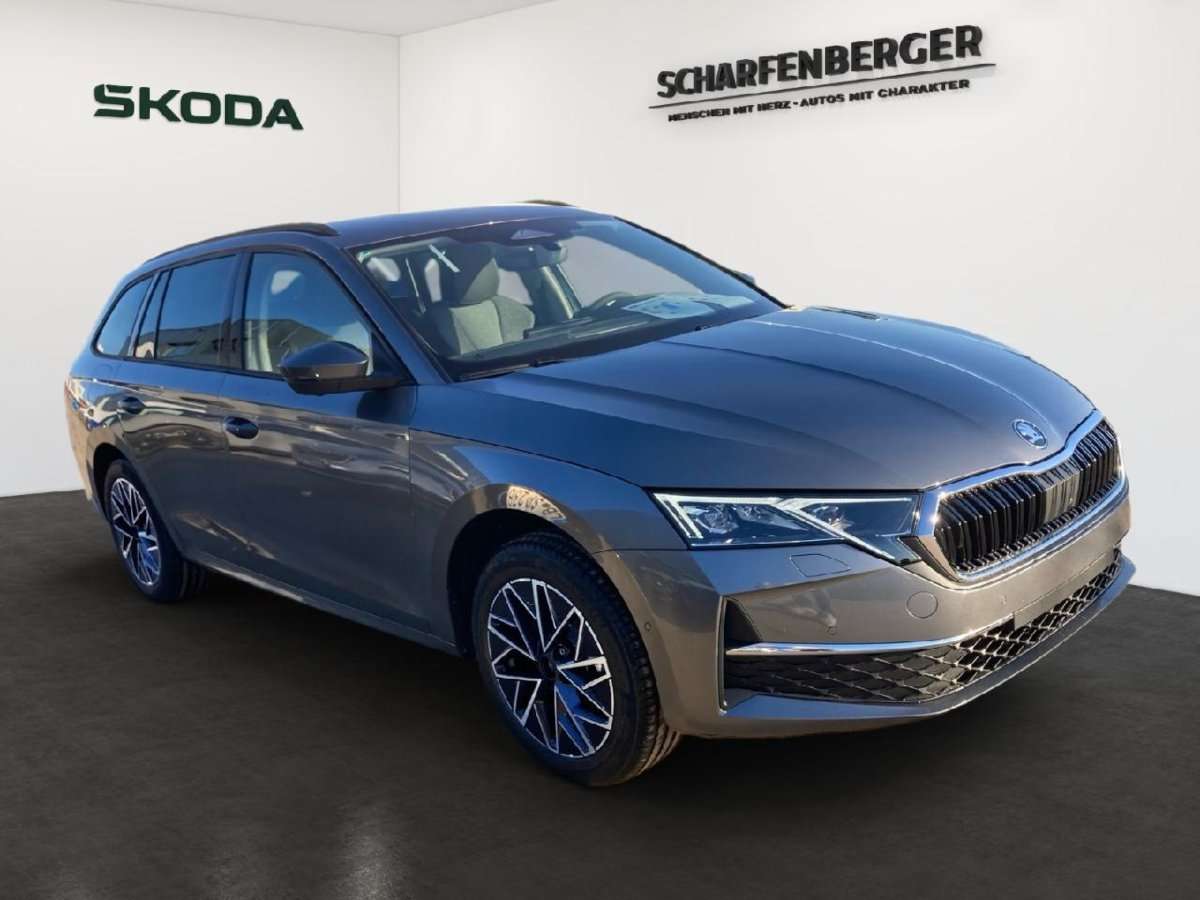 Fahrzeugbild eines Skoda Octavia