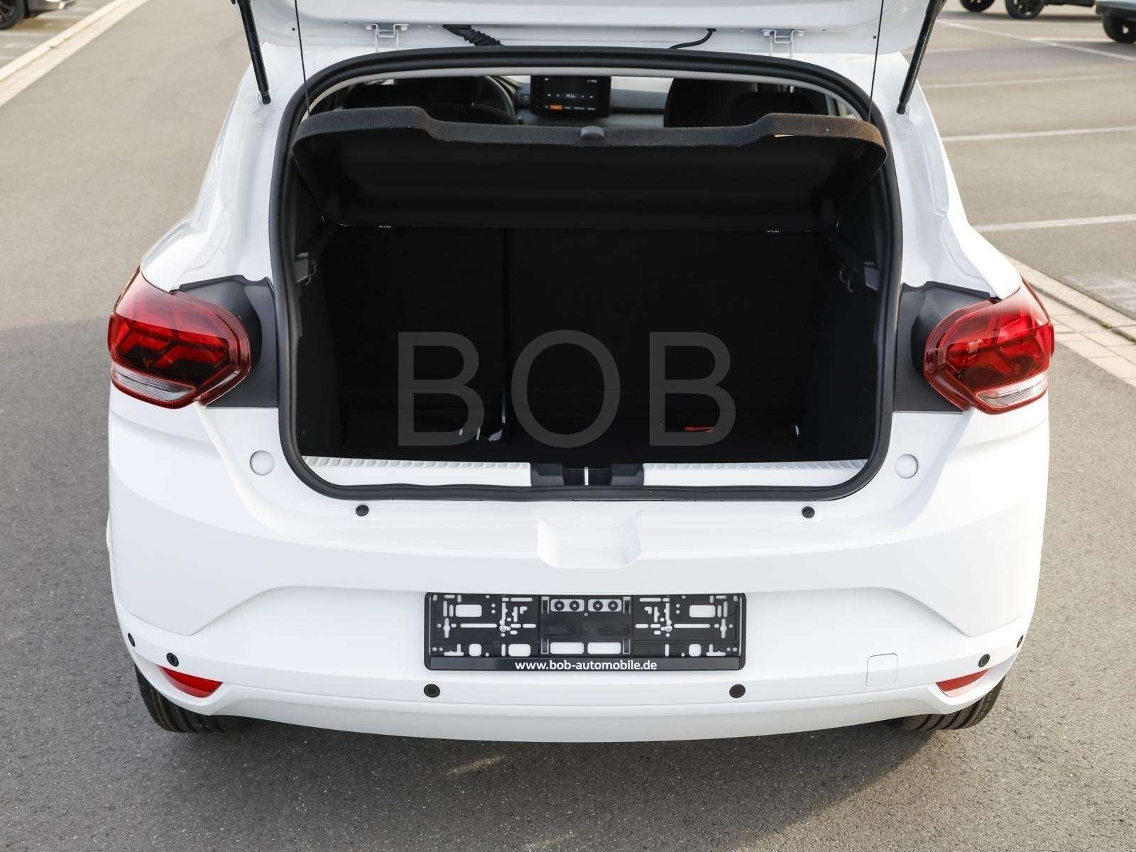 Fahrzeugbild eines Dacia Sandero