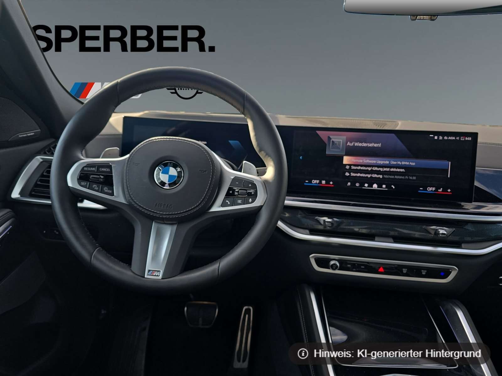 Fahrzeugbild eines BMW X6