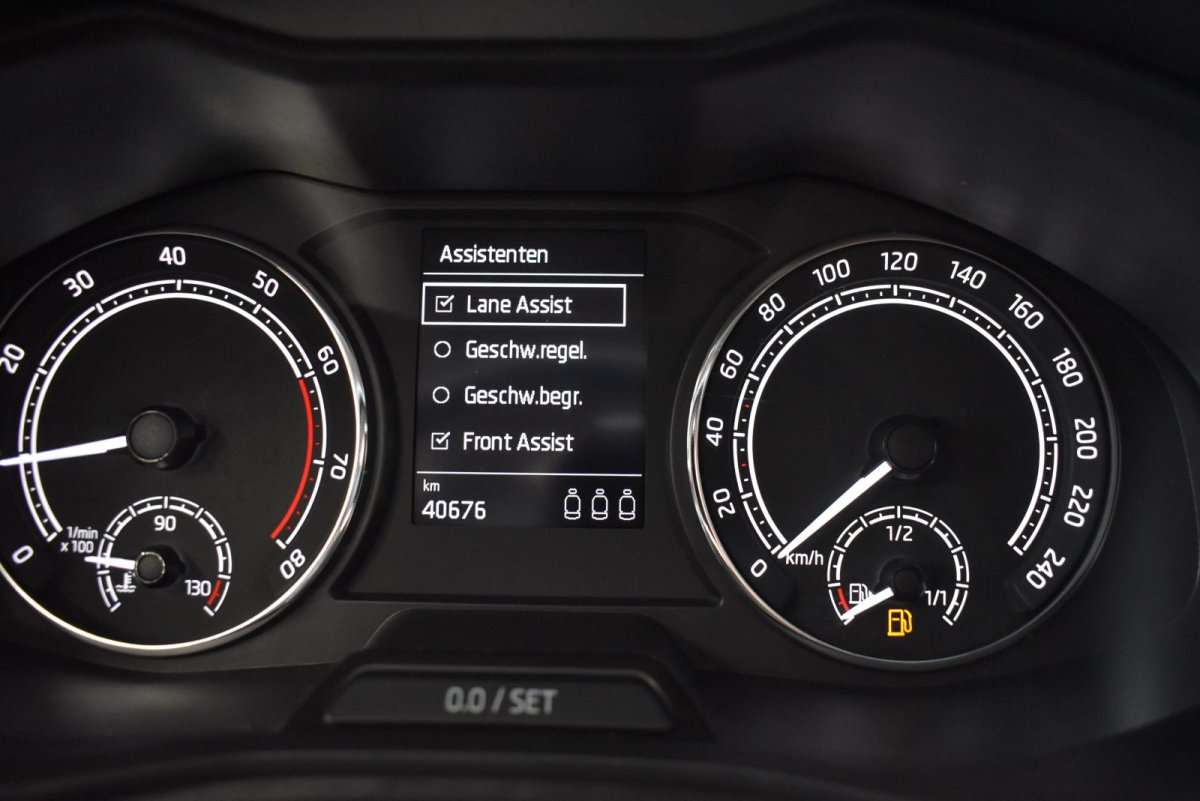 Fahrzeugbild eines Skoda Scala