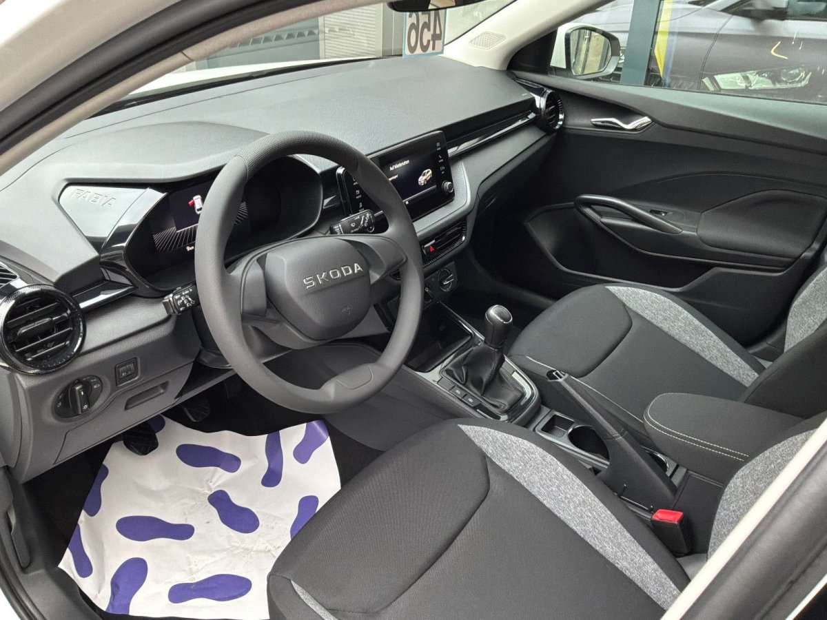 Fahrzeugbild eines Skoda Fabia