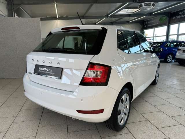 Fahrzeugbild eines Skoda Fabia