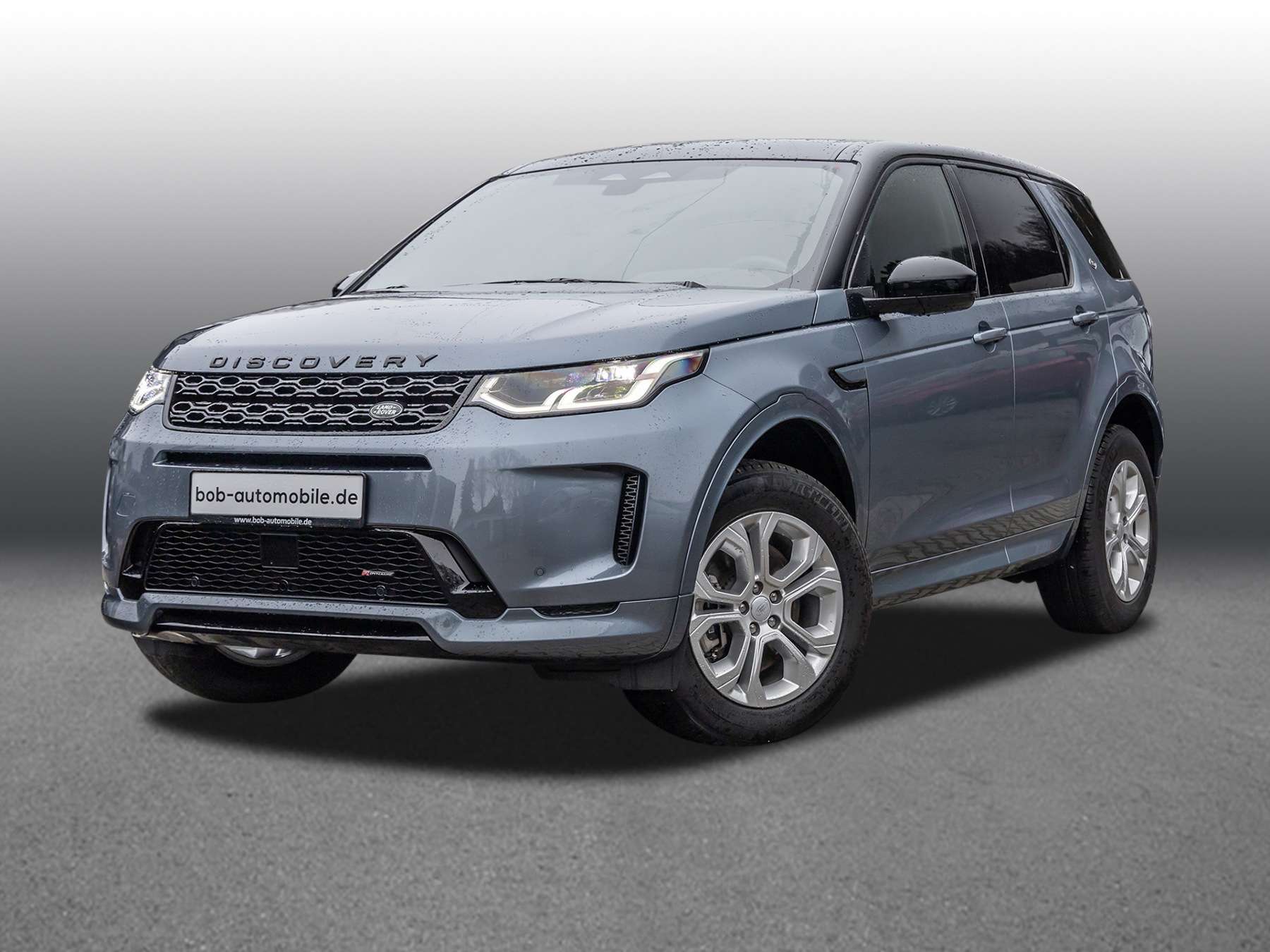 Fahrzeugbild eines Land Rover Discovery Sport