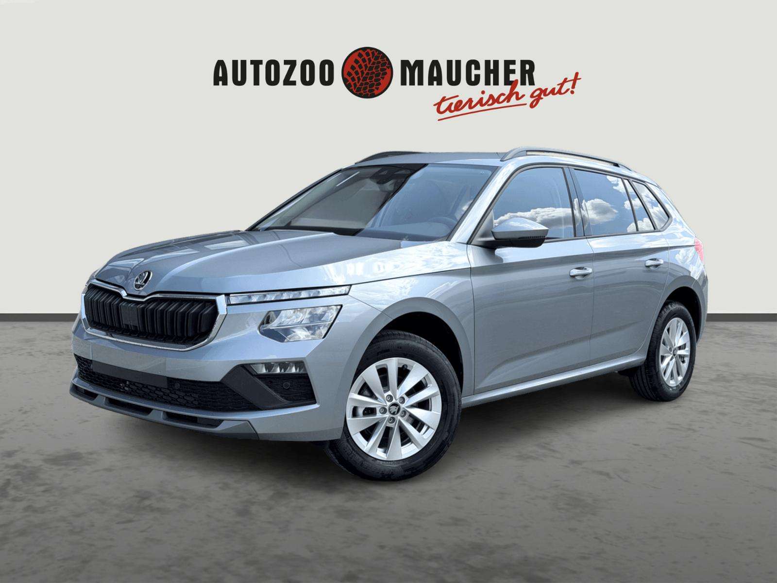 Fahrzeugbild eines Skoda Kamiq