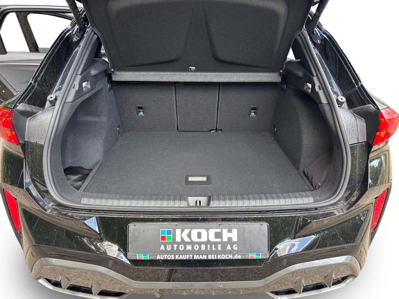 Fahrzeugbild eines CUPRA Terramar