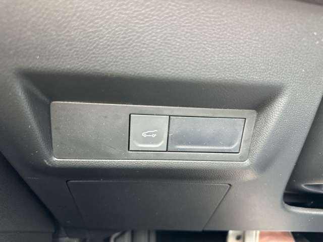 Fahrzeugbild eines Renault Symbioz