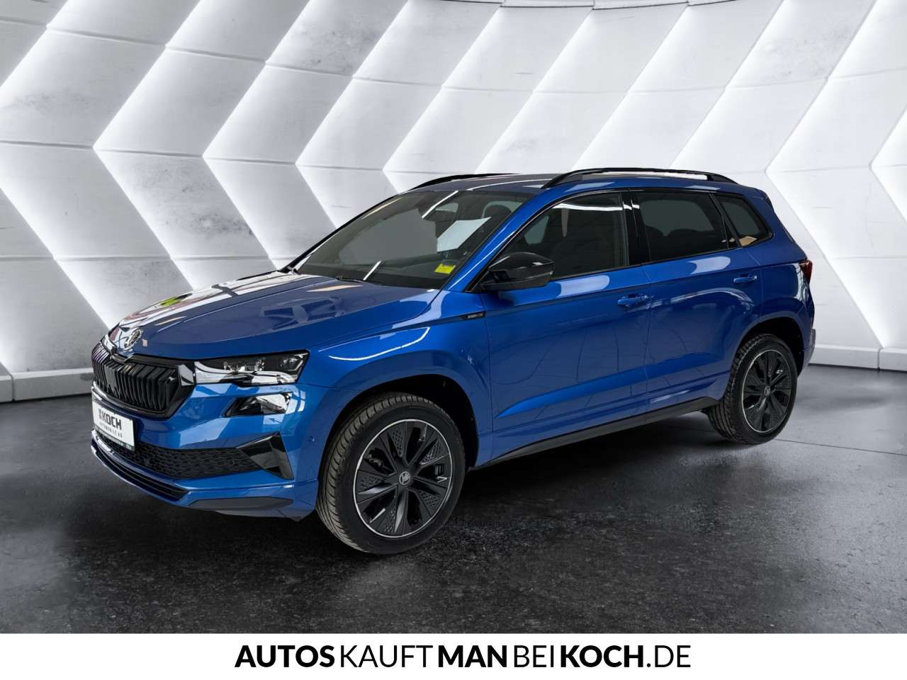 Fahrzeugbild eines Skoda Karoq