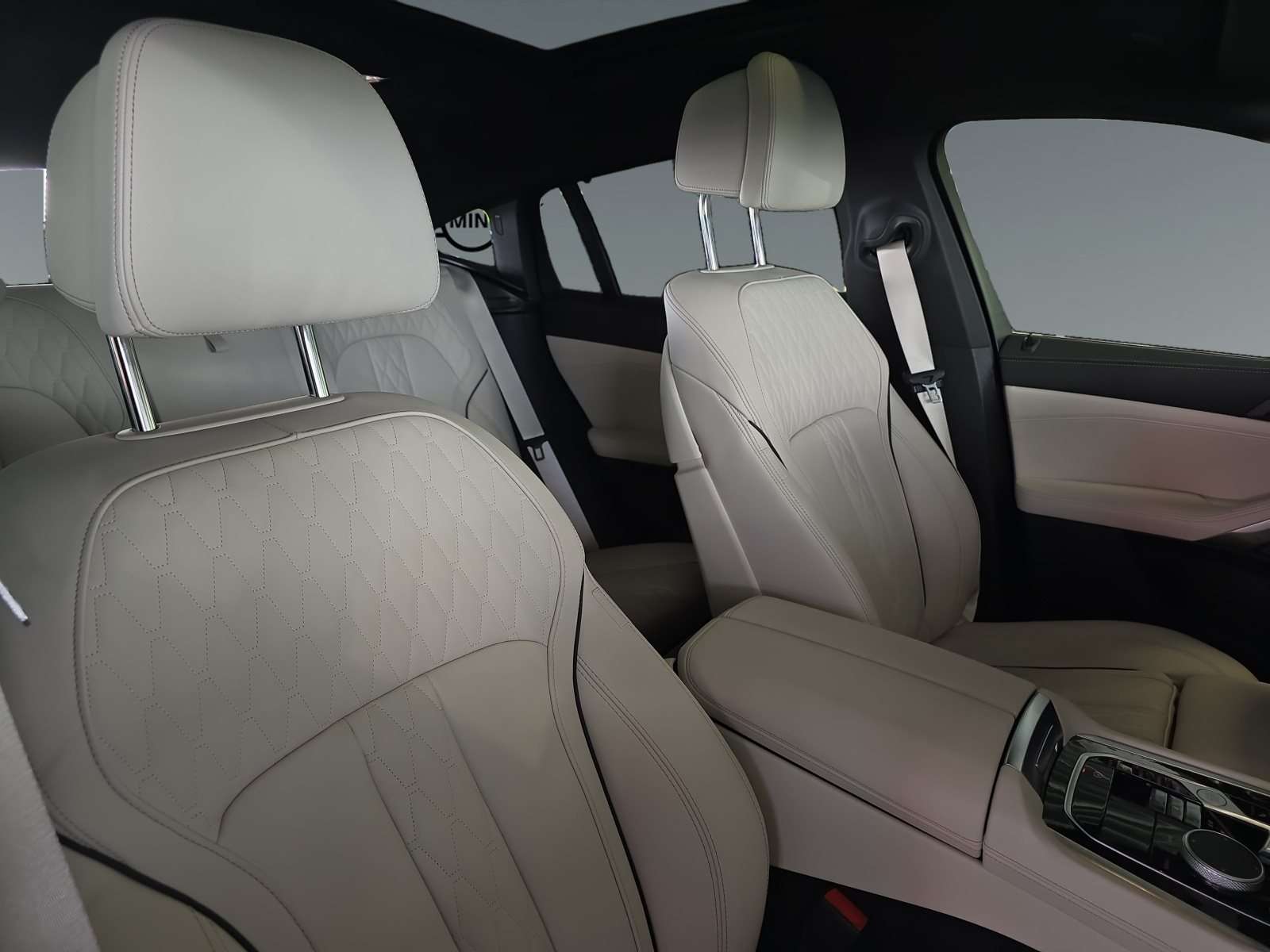 Fahrzeugbild eines BMW X6