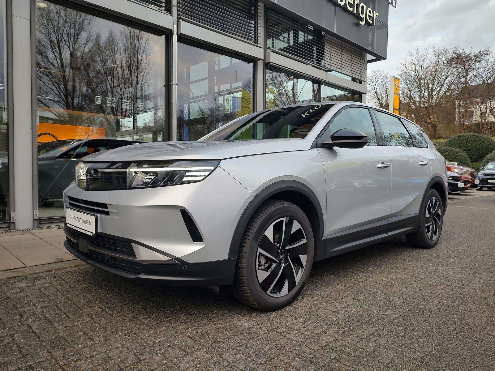 Fahrzeugbild eines Opel Grandland X