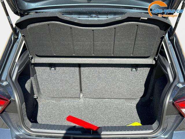 Fahrzeugbild eines SEAT Ibiza