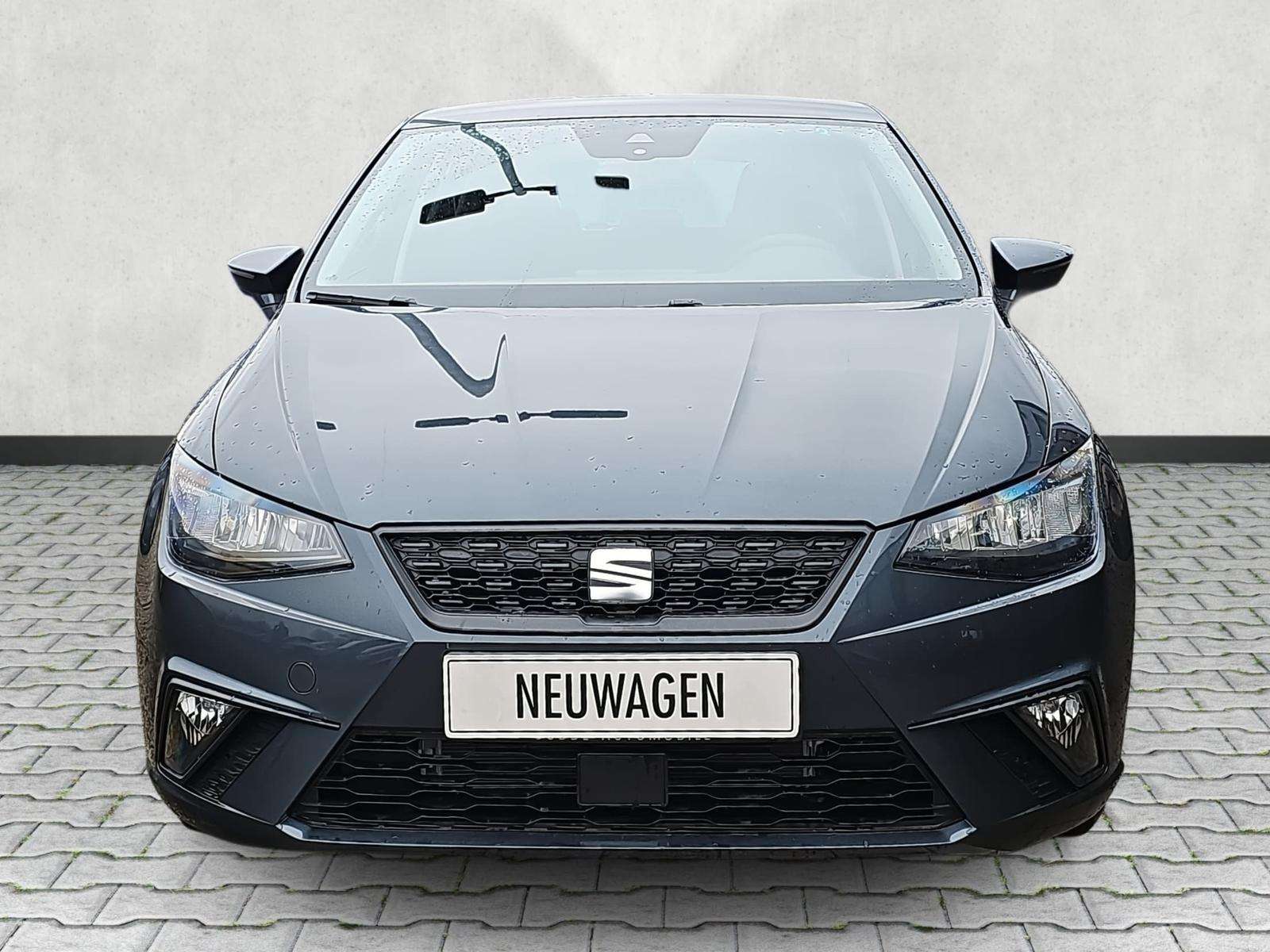 Fahrzeugbild eines SEAT Ibiza