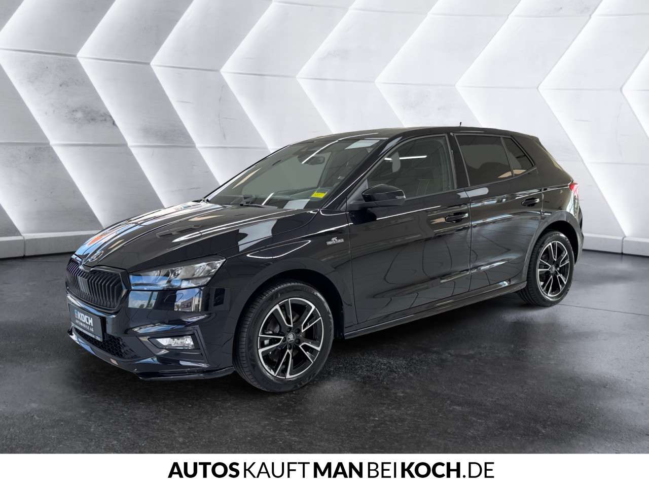 Fahrzeugbild eines Skoda Fabia