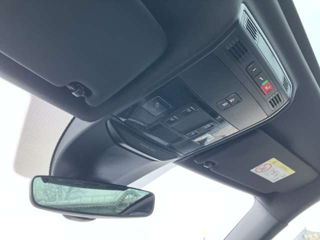 Fahrzeugbild eines Skoda Scala