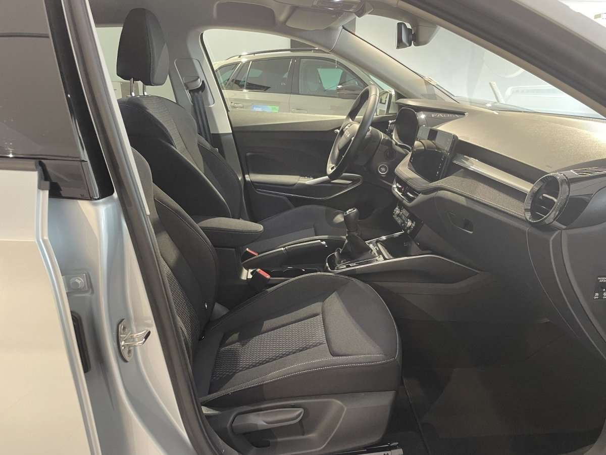 Fahrzeugbild eines Skoda Fabia
