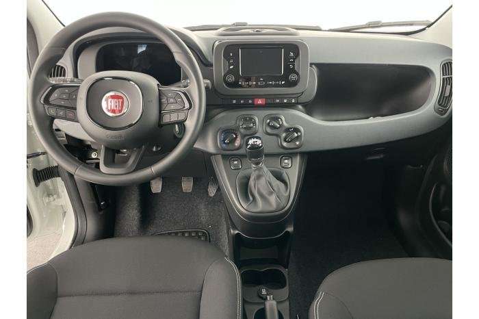 Fahrzeugbild eines Fiat Panda