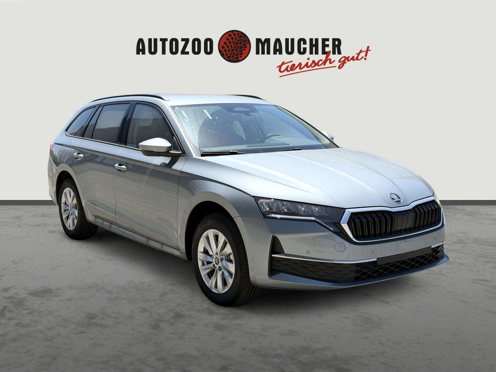 Fahrzeugbild eines Skoda Octavia