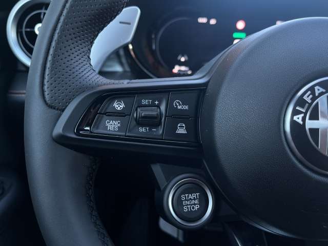 Fahrzeugbild eines Alfa Romeo Tonale