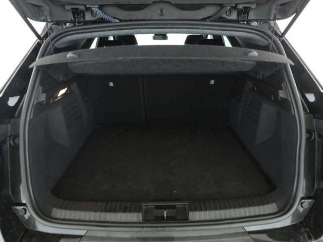 Fahrzeugbild eines Renault Symbioz