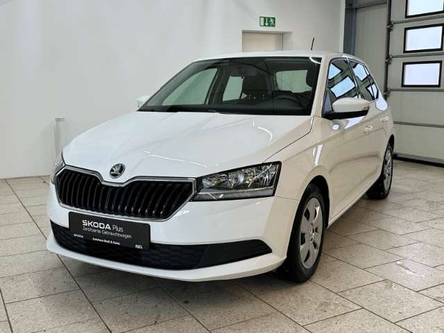 Fahrzeugbild eines Skoda Fabia