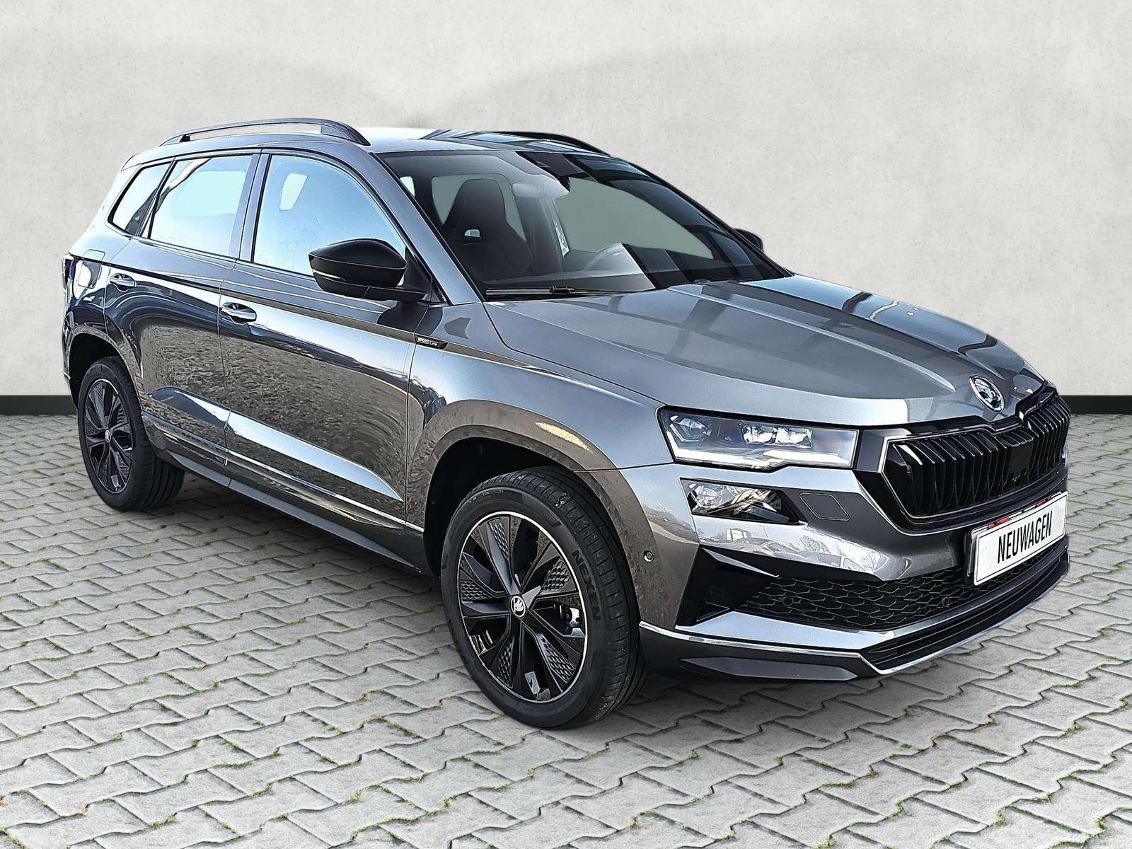 Fahrzeugbild eines Skoda Karoq