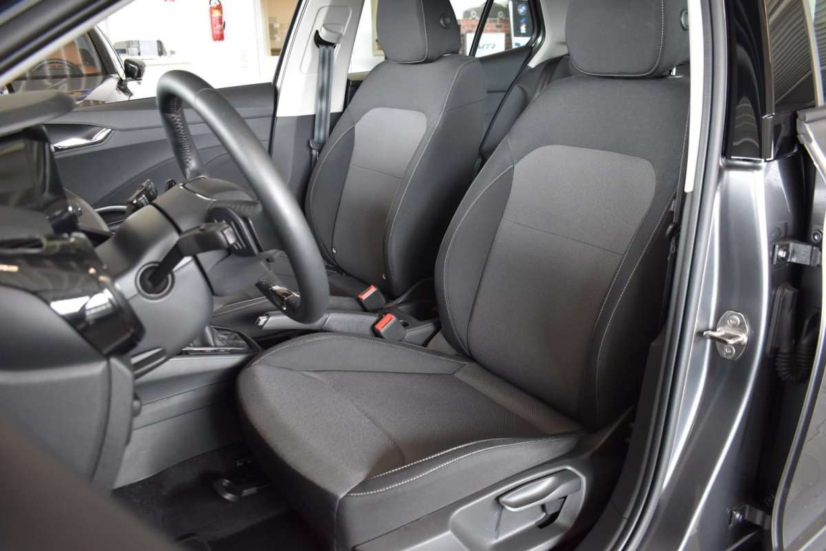 Fahrzeugbild eines Skoda Fabia