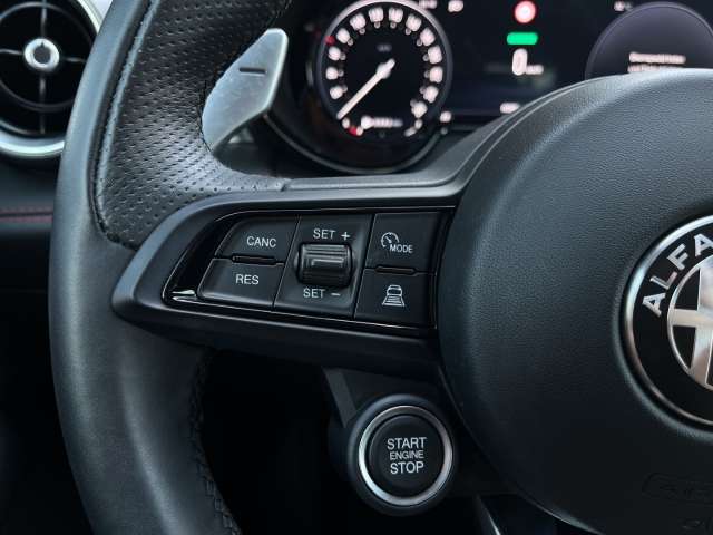 Fahrzeugbild eines Alfa Romeo Tonale