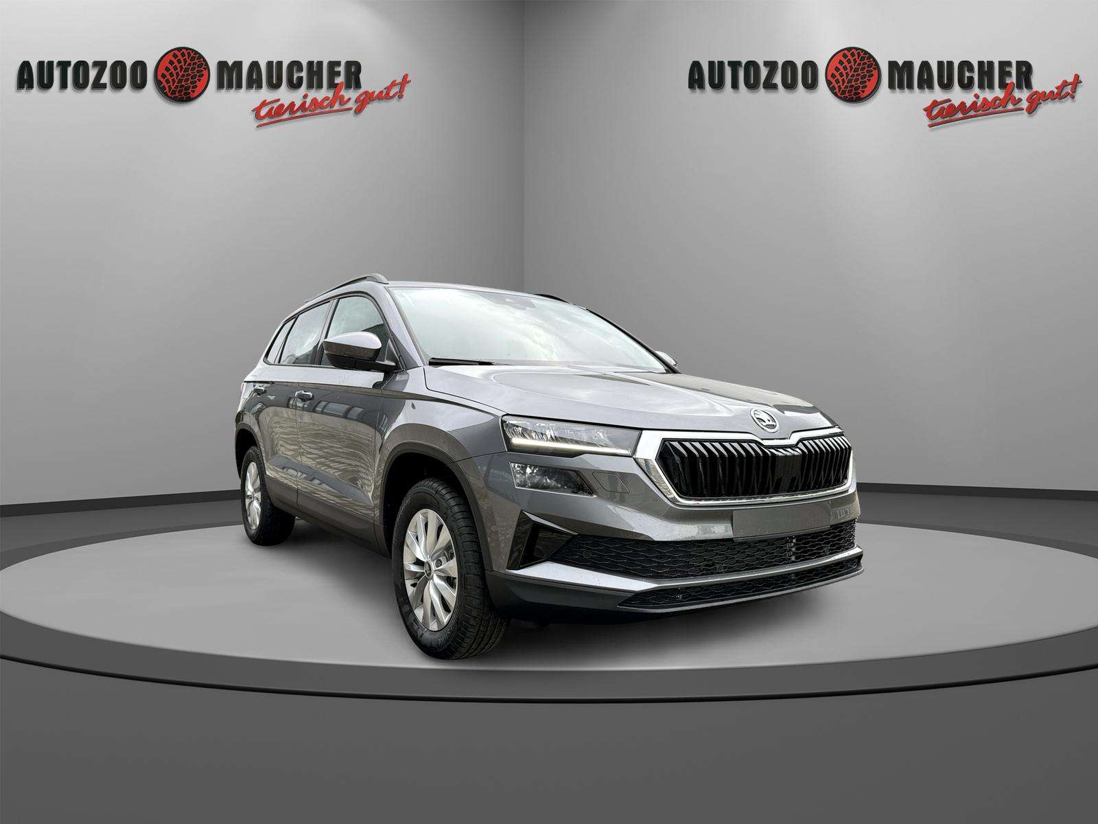 Fahrzeugbild eines Skoda Karoq
