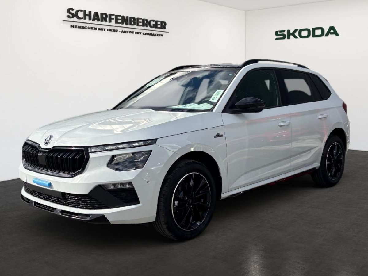 Fahrzeugbild eines Skoda Kamiq