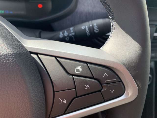 Fahrzeugbild eines Dacia Jogger