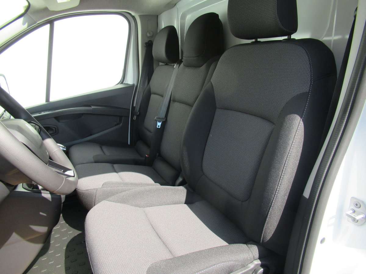 Fahrzeugbild eines Renault Trafic