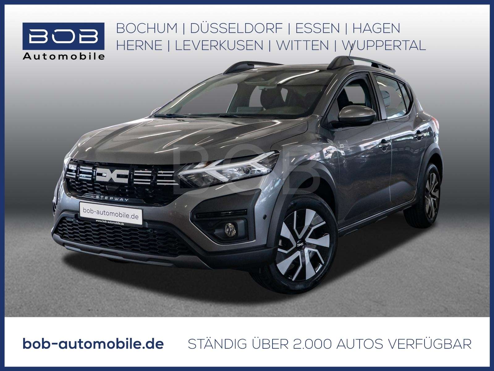 Fahrzeugbild eines Dacia Sandero