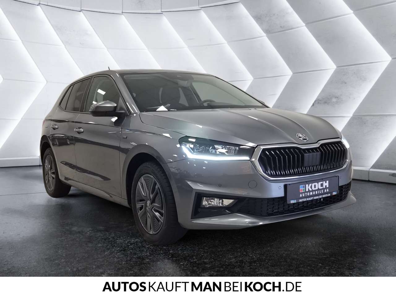 Fahrzeugbild eines Skoda Fabia