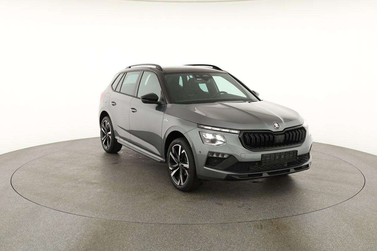 Fahrzeugbild eines Skoda Kamiq