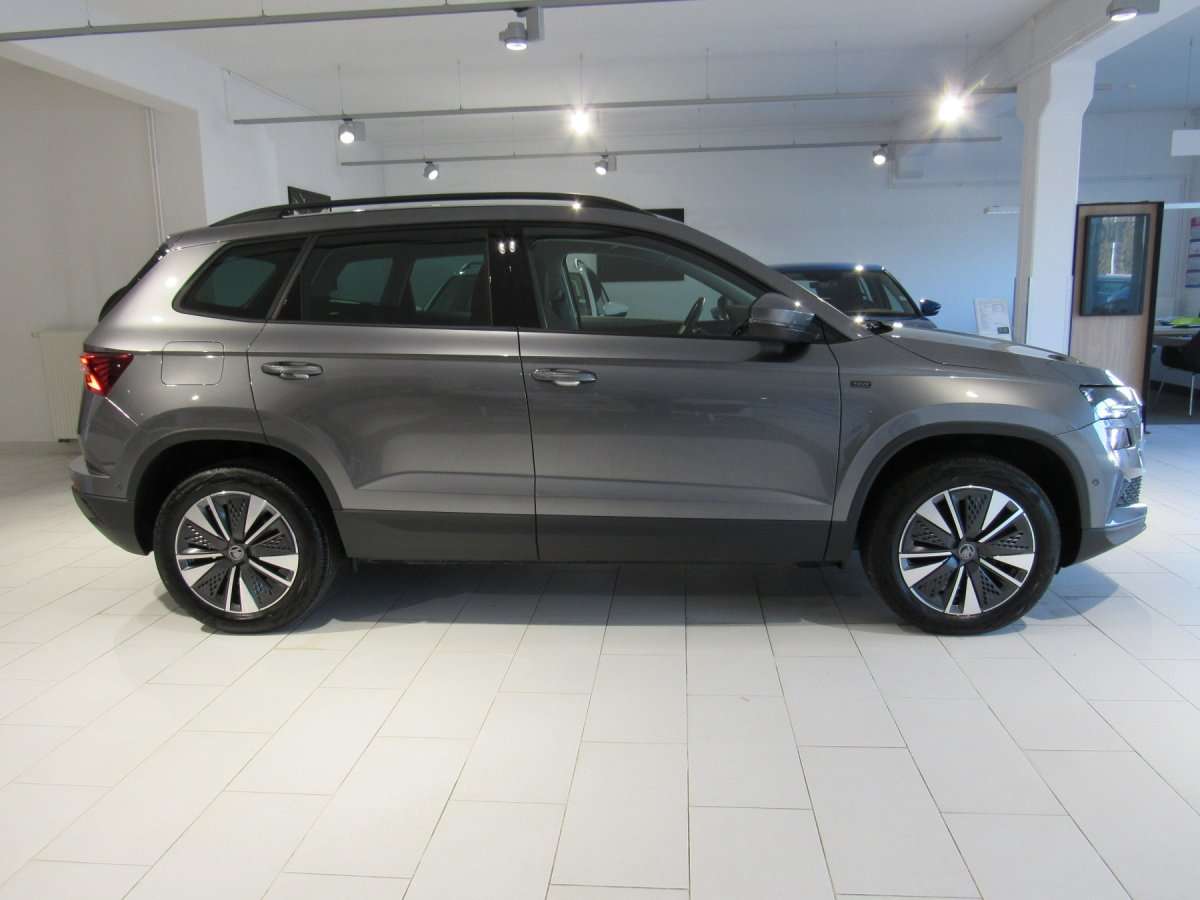 Fahrzeugbild eines Skoda Karoq