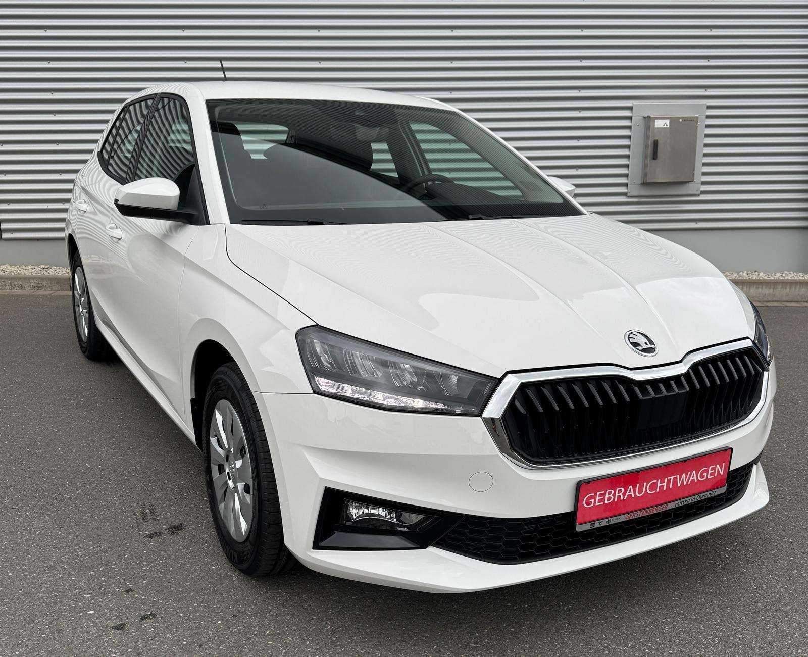 Fahrzeugbild eines Skoda Fabia