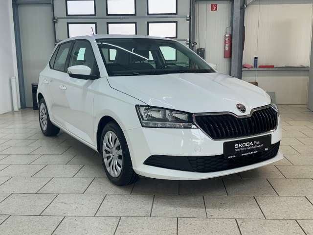 Fahrzeugbild eines Skoda Fabia