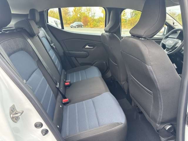 Fahrzeugbild eines Dacia Sandero