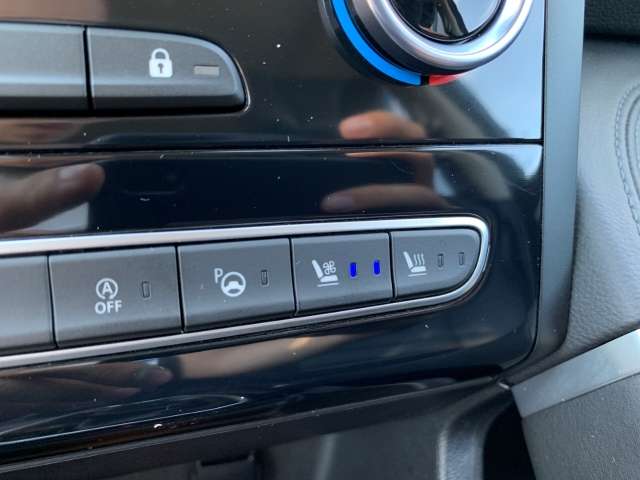 Fahrzeugbild eines Renault Koleos