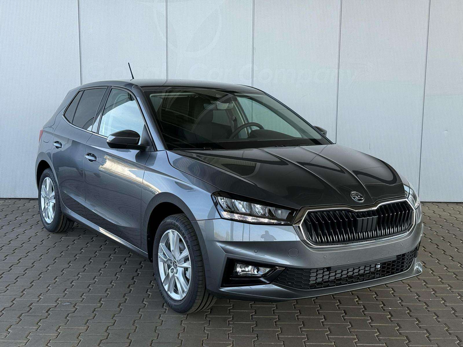 Fahrzeugbild eines Skoda Fabia