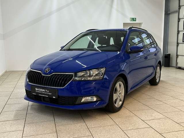 Fahrzeugbild eines Skoda Fabia